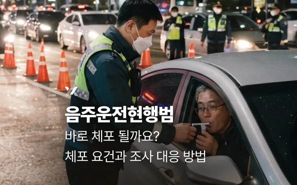 음주운전현행범 바로 체포될까요? 체포 요건과 조사 대응 방법